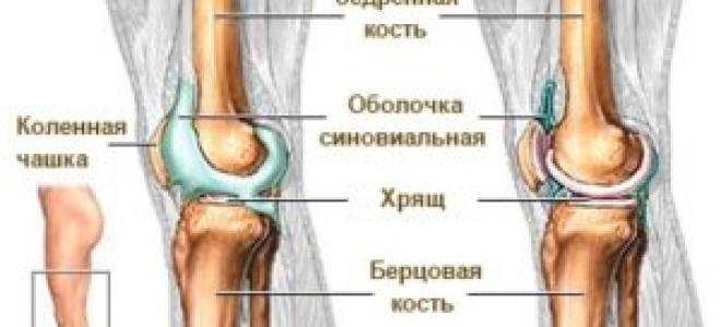 От чего образуется жидкость в коленном суставе