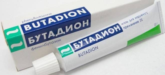 Большой палец на ноге болит подагра