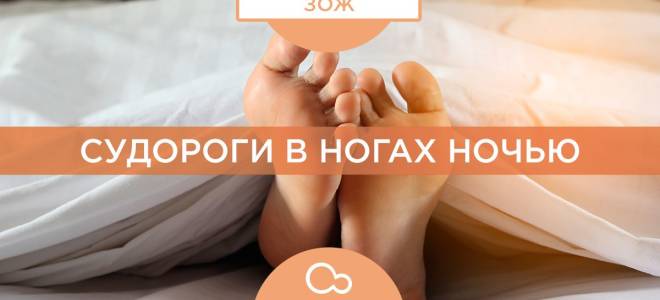 Почему возникают судороги ночью в ногах?